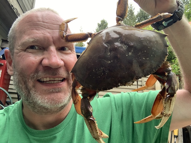 Massive Dungeness Crabs Belcarra Regional Park, Belcarra, BC