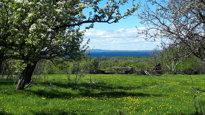 Beautiful spring day Manitoulin, Unorganized, Mainland, ON