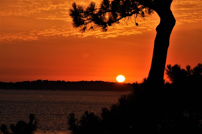 Coucher de soleil sur le Bassin d'Arcachon Bassin d'Arcachon, France