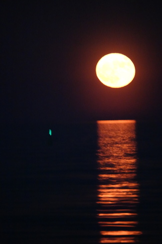 Super Full Moon Rising over Lake Ontario Oshawa, ON