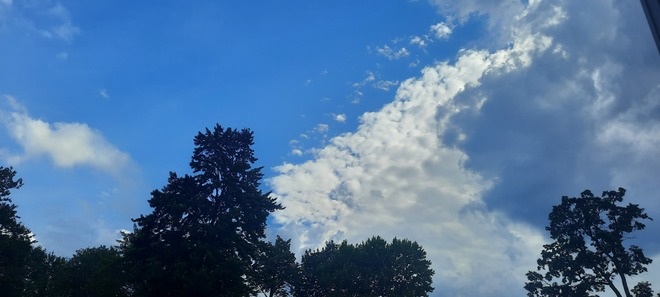 coton de nuage Otterburn Park, QC