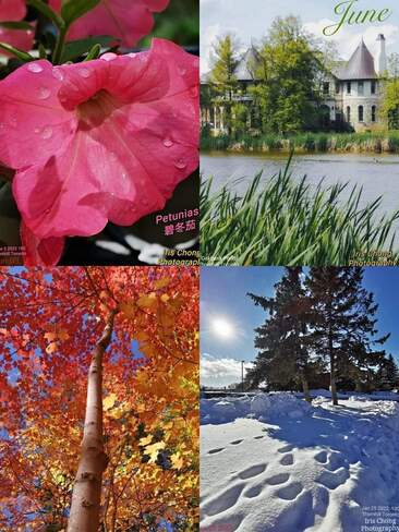 June 29 2022 Lovely four seasons in Canada - Thornhill Ontario Thornhill, ON