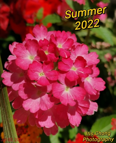 July 3 2022 27C Beautiful Sunday! Enjoy the beautiful Summer everyone:)Thornhill Thornhill, ON