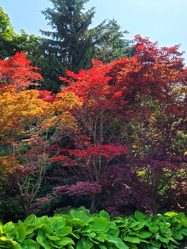 Colors Niagara Showcase Niagara Parks Botanical Gardens, ON
