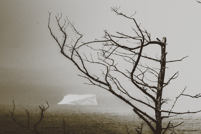 An iceberg in the fog. Topsail, Conception Bay South, NL