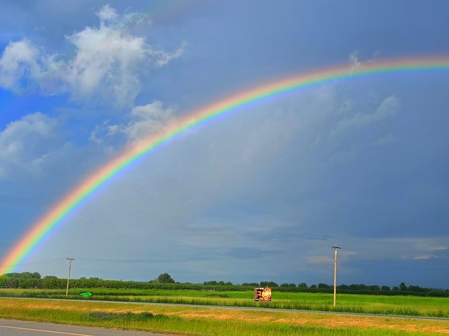 rainbow Winnipeg, MB