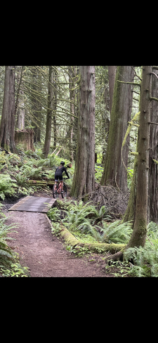 Vedder mountain biking Chilliwack, British Columbia | V2R 0K7