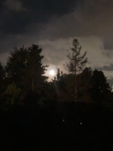 Midnight Moon Whitby, Ontario, CA