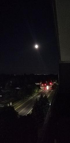Moonlight Oshawa, ON