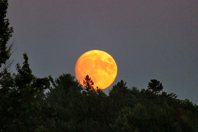 Super Moonrise in Greater sudbury Greater Sudbury, ON
