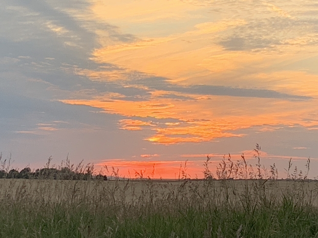 Prairie Sunset Rosetown, Saskatchewan | S0L 2V0