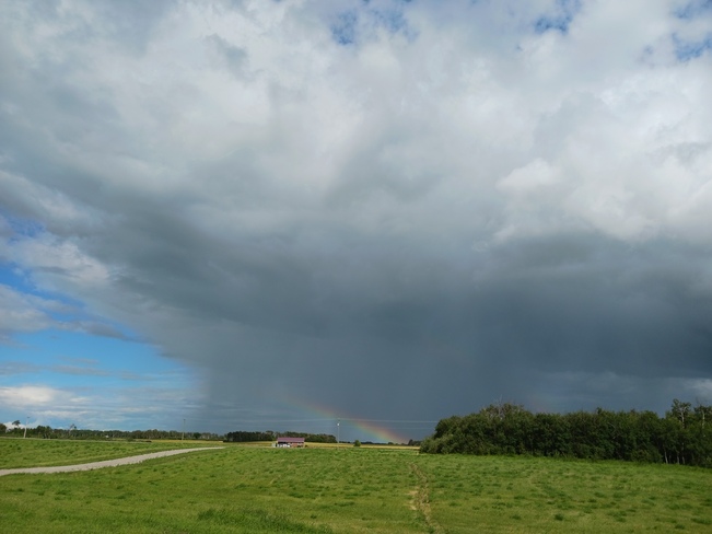 rainbow and rain/cloud Swan Lake 7, MB