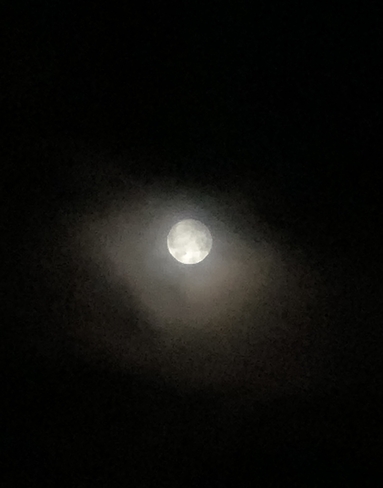 Super moon Gander, Newfoundland and Labrador, CA