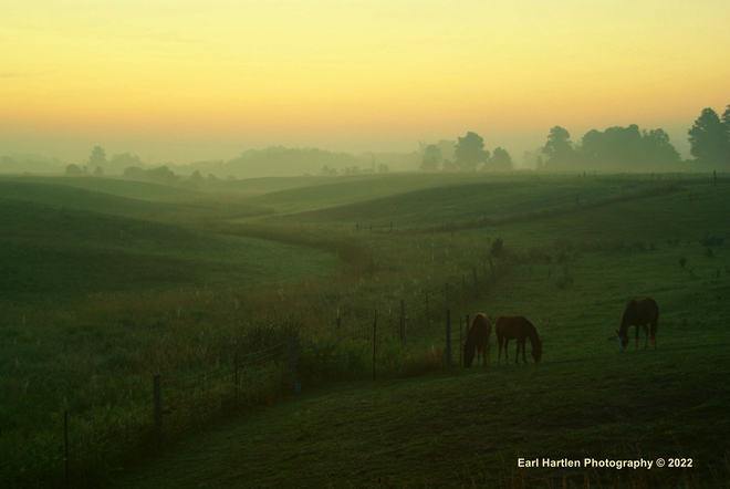 Some Mornings Are Picture Perfect Norfolk County, ON