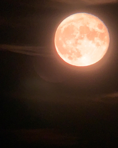 Moon Harrow, Ontario, CA
