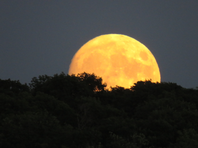 The Sturgeon Moon at Walker’s Lake Lake of Bays, Ontario, CA