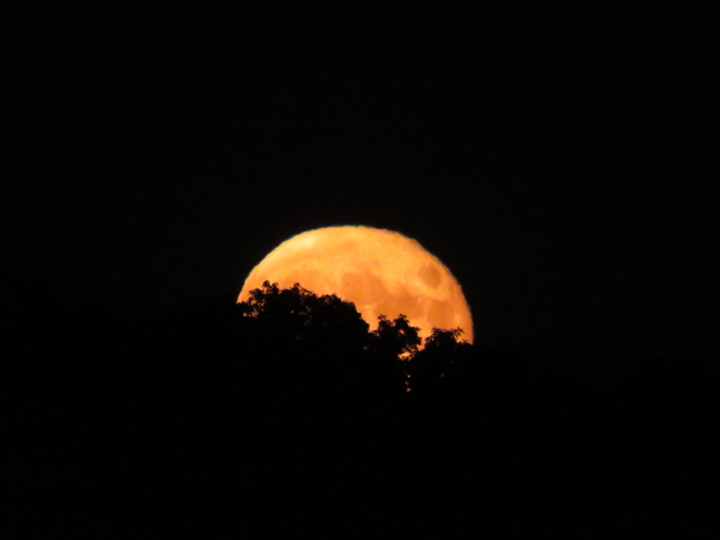 The Sturgeon Super Moon Georgetown, Ontario, CA