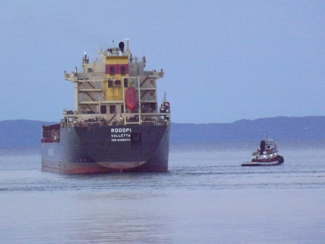 SHIP RODOPI LEAVING Thunder Bay, ON
