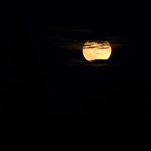 Sturgeon moon Shefford, Quebec, CA