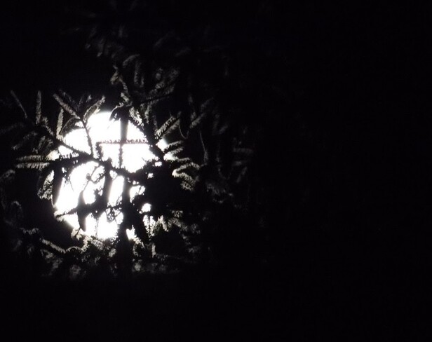 full moon Orillia, ON