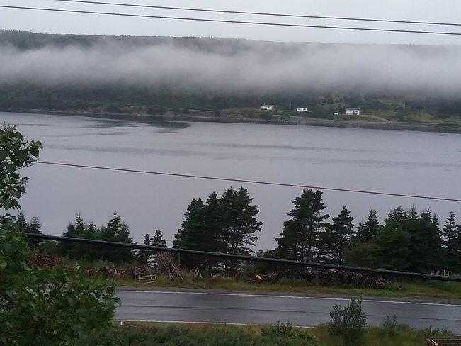 The hills are alive with... Riverhead, NL