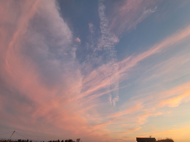 looks like a bird cloud Ship Cove, NL