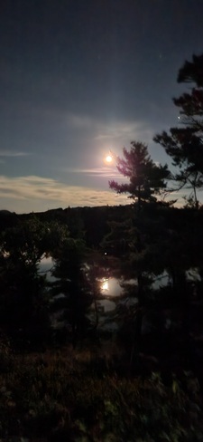 moon light Massey, ON