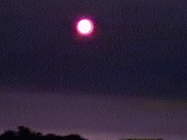 Red moon Lethbridge, AB