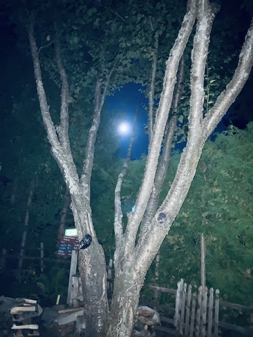 Moonlight Temagami, Ontario, CA