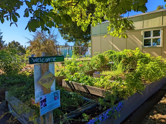 Community garden Vancouver, BC