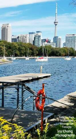 Sept 25 2022 Autumn - Trillium Park - Waterfront downtown Toronto Trillium Park, ON
