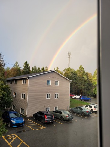 Rainbow (double) Saint John, NB