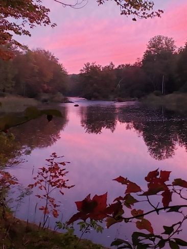 pink Fall River, NS