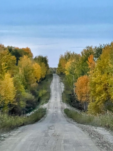 Back roads, hills and autumn leaves Torch River No. 488, Saskatchewan, CA