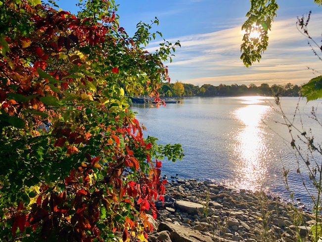Autumn morning Dorval, Quebec, CA