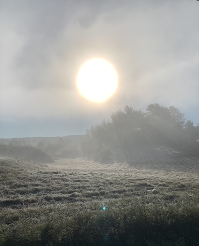 Killer Frost this morning Hampton, New Brunswick | E5N 6H6