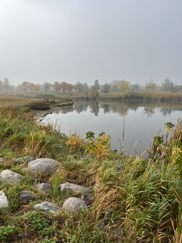 Fog on the Creek Regina, Saskatchewan, CA