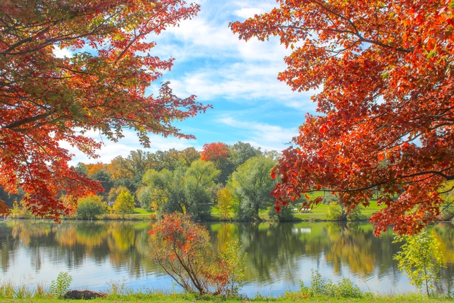 Fall the Dominion Arboretum Ottawa, Ontario, CA