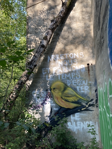 Art de rue dans la forêt… Blainville, Québec, CA