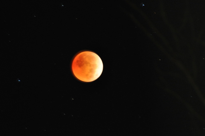 Moon eclipse November 8,2022 Orillia, ON