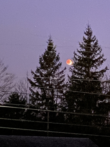 Blood moon Truro, Nova Scotia | B2N 6B1