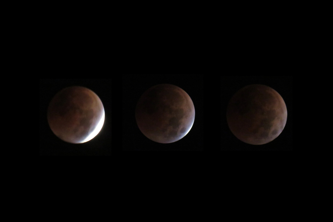 Lunar eclipse Scarborough, Ontario | M1E 1L8
