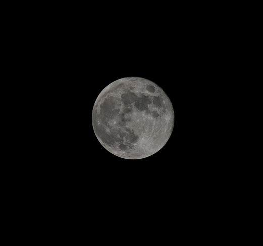 Full Moon Ottawa K1c6v9