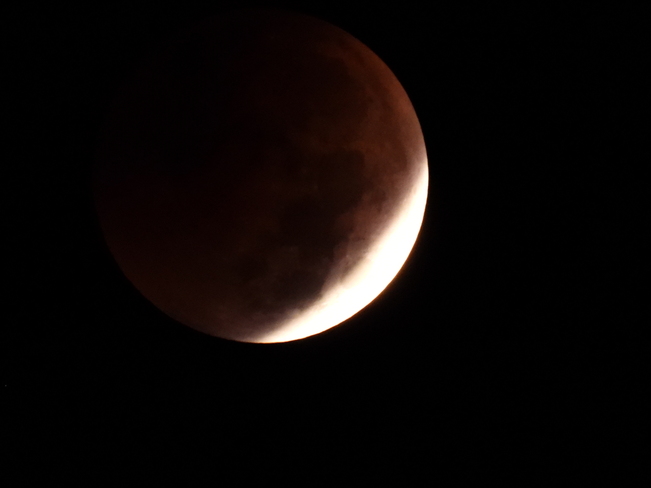 Lunar Eclipse November 8, 2022 Burlington, ON