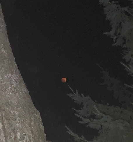 Tuesday morning 6:04 am the blood moon Greater Sudbury, Ontario | P3P 1R2