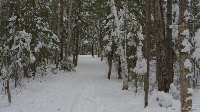 Sentier en hiver Parc linéaire de la Rivière-Saint-Charles, Rue Domagaya, Québec, QC