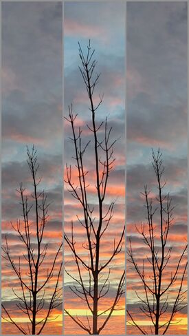 Sunrise Collage (3) WPVV+3X Bradwell, SK, Canada
