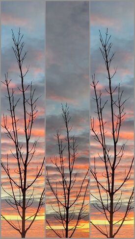 Sunrise Collage (4) Saskatoon, SK
