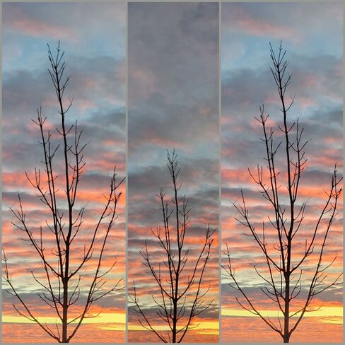 Sunrise Collage (5) Saskatoon, SK