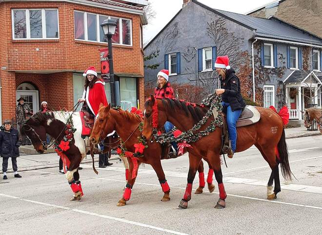 Christmas horses Picton, ON
